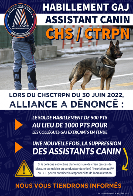 CHS : Assistant Canin 